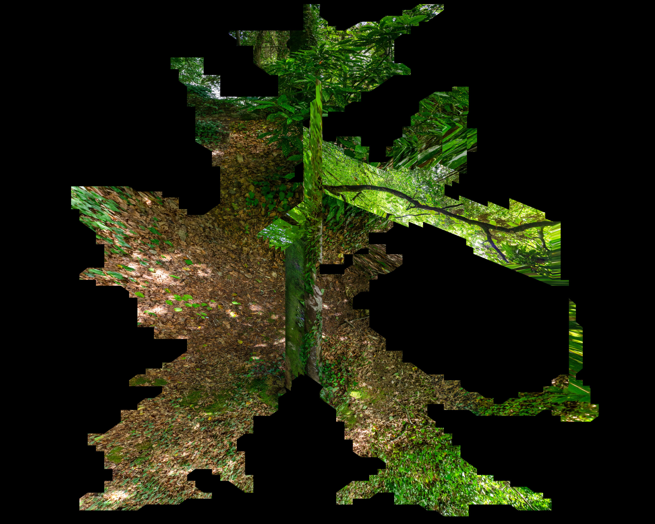 Vernissage Thomas DAVELUY